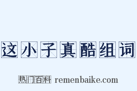 这小子真酷组词是什么意思的图片
